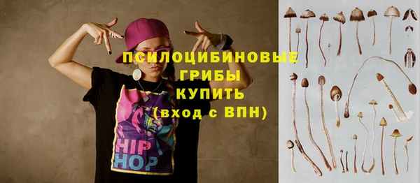 гидропоника Абаза