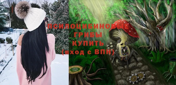 гидропоника Абаза