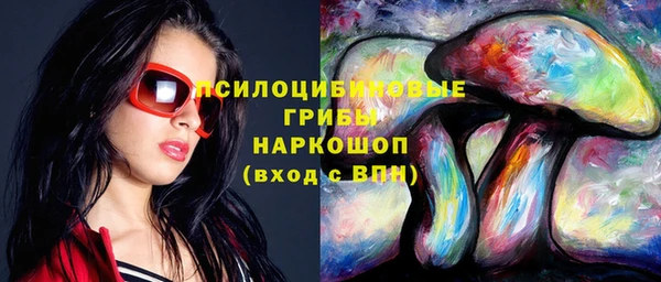 гидропоника Абаза