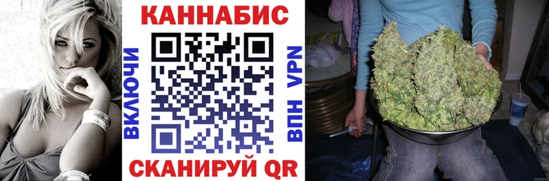 Бошки Шишки планчик Монино